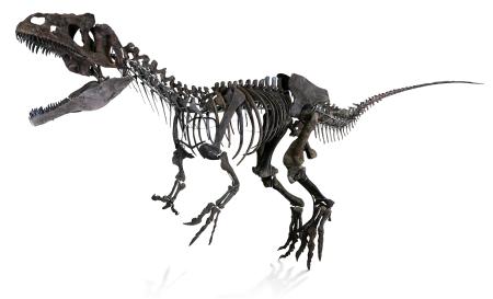 Dinosaurio carnívoro
